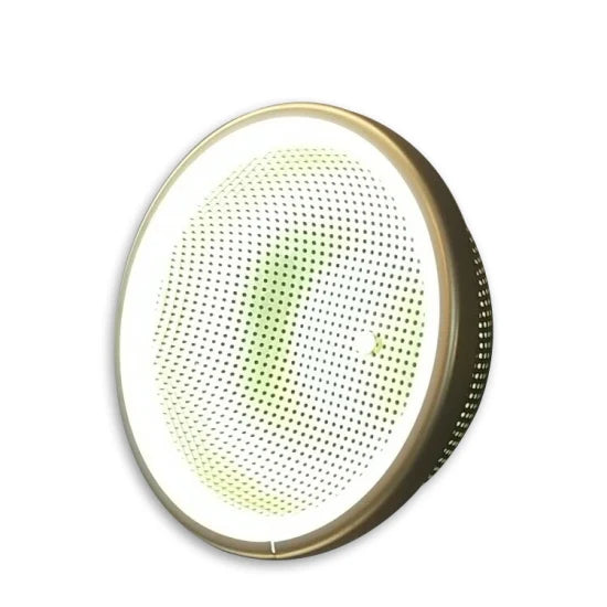 DLSS Lighting Co., Ltd Newest Home Living Room Wall Light Fixture Decorative Lighting