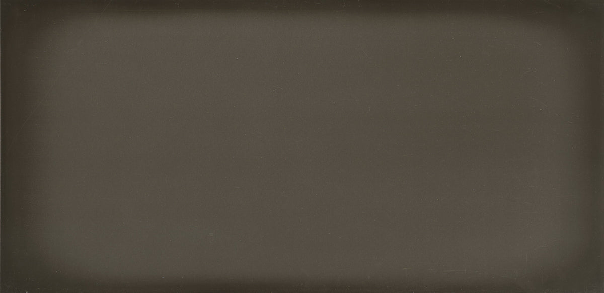 Emser Ombre 16-Pack Silver 6-in x 12-in Glazed Ceramic Subway Wall Tile