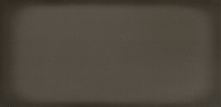Emser Ombre 16-Pack Silver 6-in x 12-in Glazed Ceramic Subway Wall Tile