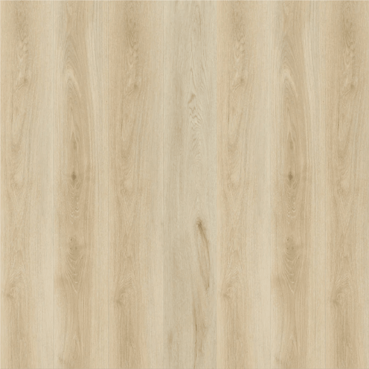 STAINMASTER PetProtect Arcadian 7-mm x 7-in W x 48-in L Waterproof Interlocking Luxury Vinyl Plank Flooring (19.02-sq ft/case) - Super Arbor