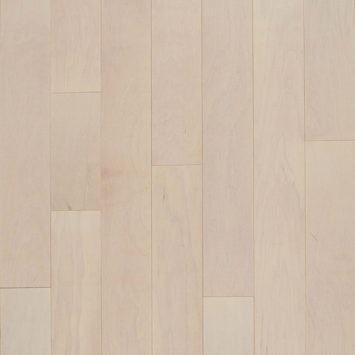 Premier Performance Misty Forest Acrylic Infused Maple Engineered Hardwood