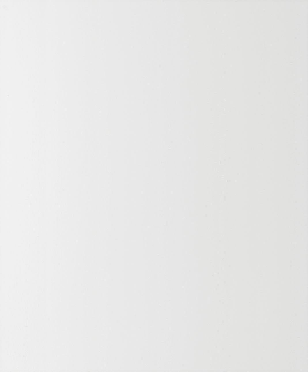 James Hardie Smooth Panel HZ10 Arctic White 5/16" x 4' x 10'