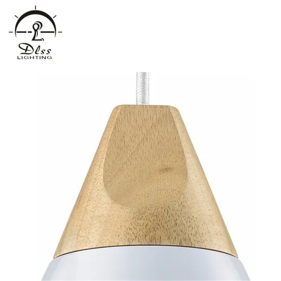 DLSS Lighting Promotion Product of Modern Design Pendant Lighting with E27