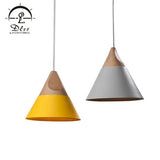 DLSS Lighting Promotion Product of Modern Design Pendant Lighting with E27