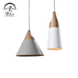 DLSS Lighting Promotion Product of Modern Design Pendant Lighting with E27