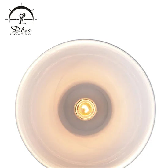 DLSS Lighting Promotion Product of Modern Design Pendant Lighting with E27