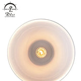 DLSS Lighting Promotion Product of Modern Design Pendant Lighting with E27