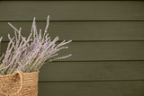 James Hardie 5/16 in. x 7-1/4 in. x 12 ft. HardiePlank Smooth Lap Siding, HardieZone 10, Primed