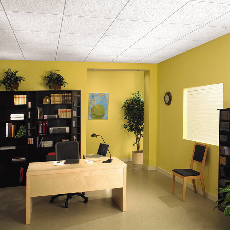 Armstrong Ceilings Random Textured 24-in x 24-in Fissured Drop Acoustic Ceiling Panels, Square Lay-In 15/16-in, 16-Pack, White