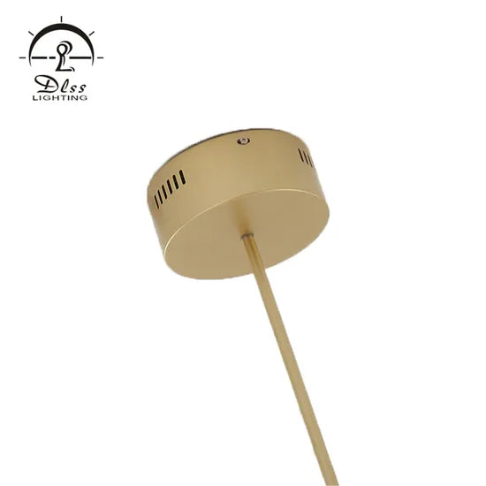 DLSS Lighting Co., Ltd Restaurant Stainless Steel Pendant Lighting Globe LED Lamp