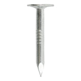 3 in. Electro-Galvanized Roofing Nails (50 lb Box)