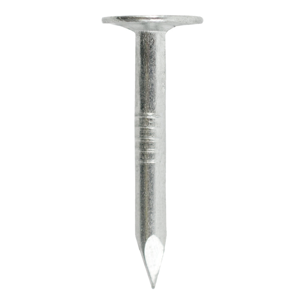 Grip-Rite 1-1/4 in. Roofing Electro-Galvanized Steel Nails, Flat Head, 50 lb.
