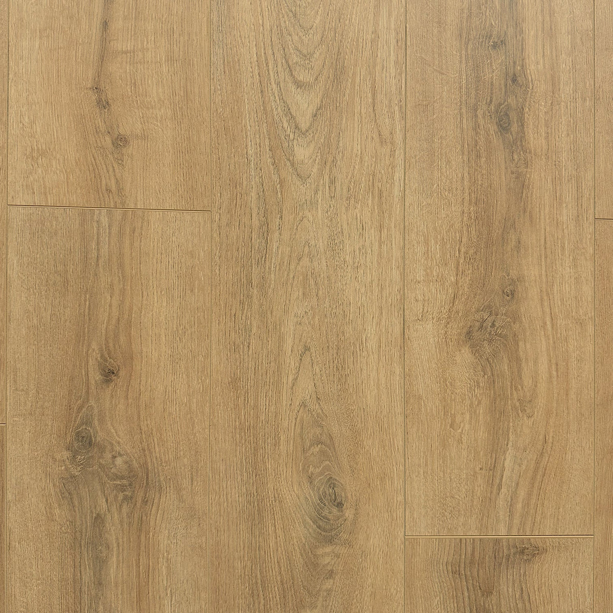 Sapelo Shore Hybrid Resilient Flooring