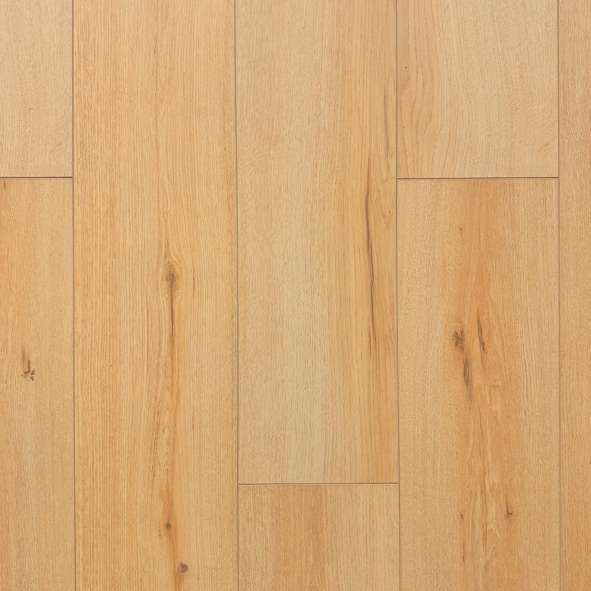 Shields Maple Waterproof Laminate