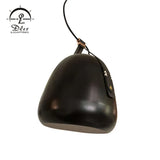DLSS Lighting Special Design Pendant Lamp
