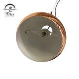 DLSS Lighting Special Design Pendant Lamp