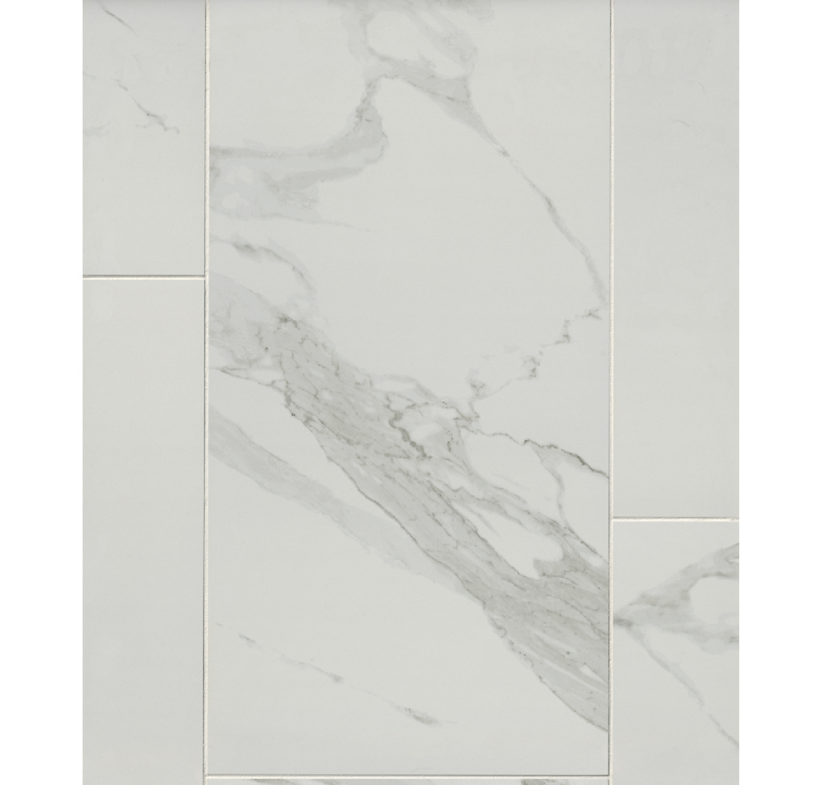 Staturio Lio Polished Porcelain Wall and Floor Tile - 12 x 24 in.
