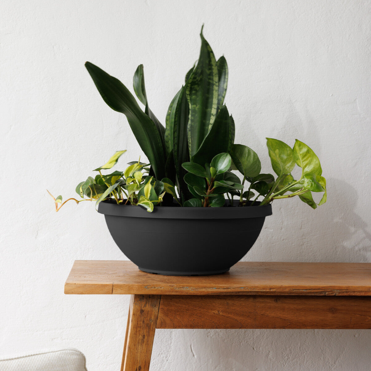 Bloem Terra Plant Bowl Planter 14" Black