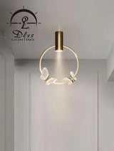 DLSS The Modern Decoratice Pendant Light for Indoor with Hold Lamp LED Chandelier