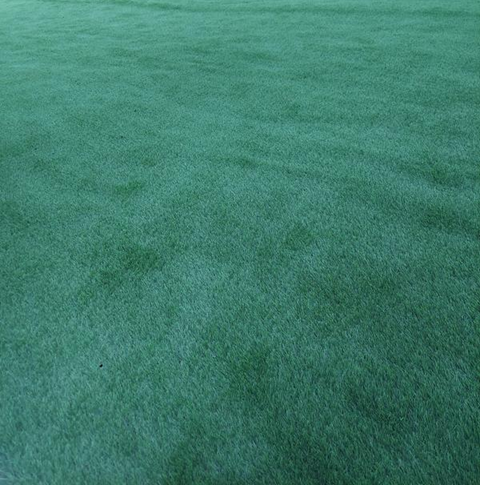 TrafficMaster Fescue Multipurpose 12 ft. Wide x Cut to Length Green Artificial Grass Turf