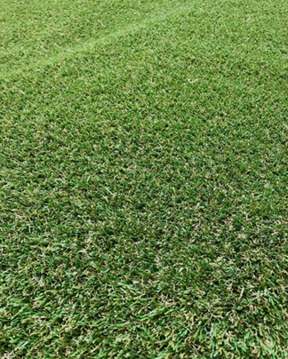 TrafficMaster Pet Turf 3.75 ft. x 9 ft. Green Artificial Grass Runner Rug