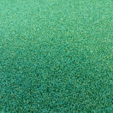 TrafficMaster Putting Green 6 ft. W x Cut to Length Artificial Grass Turf