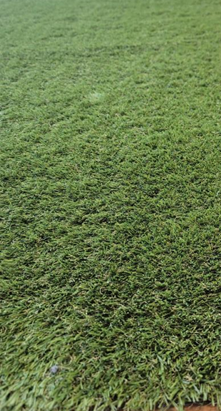 TrafficMaster Soft Fescue 6 ft. x 12 ft. Green Artificial Grass Rug