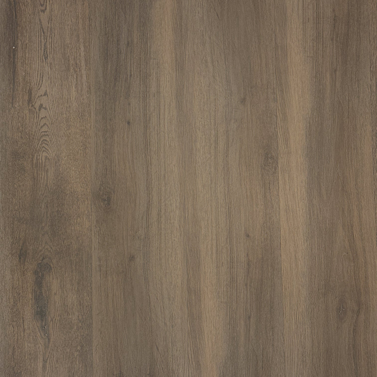 Lifeproof Heirloom Pine 8.7 in. W x 47.6 in. L Luxury Vinyl Plank Flooring (20.06 sq. ft. / case)