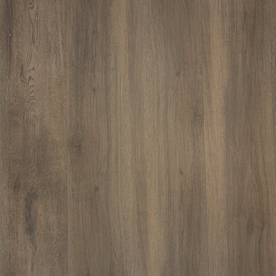 Lifeproof Tupelo Oak 8.7 in. W x 47.6 in. L Luxury Vinyl Plank Flooring (56 cases/1123.36 sq. ft./pallet)