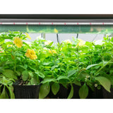 SunTube 18-4 ft. 18-Watt Broad Spectrum LED Grow Light Fixture, Cool White - Super Arbor