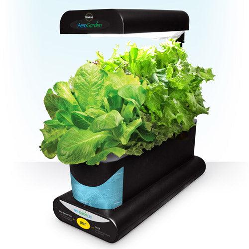 a08913c6-a758-43ea-84e4-9e4cf1499a93_1.d1a6be2b8a9036b5f5ed535f1da2b149_391566592.jpeg