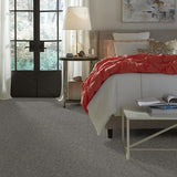 STAINMASTER PetProtect Baxter II Schnauzer Textured Carpet (Indoor)