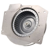 Fasco A156 inducer motor - detail view (Type: Shaded Pole; Voltage: 115V)