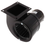 Fasco A166 blower motor - detail view (Type: Shaded Pole; Voltage: 115V)