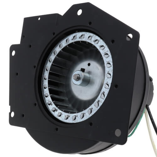 Fasco A179 inducer motor - detail view (Type: Shaded Pole; Voltage: 115V)