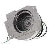 Fasco A206 blower motor - detail view (Type: Shaded Pole; Voltage: 115V)