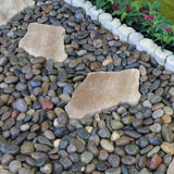 Rain Forest 21.6 cu. ft. 2 in. to 3 in. 1620 lbs. Mixed Polished Pebbles