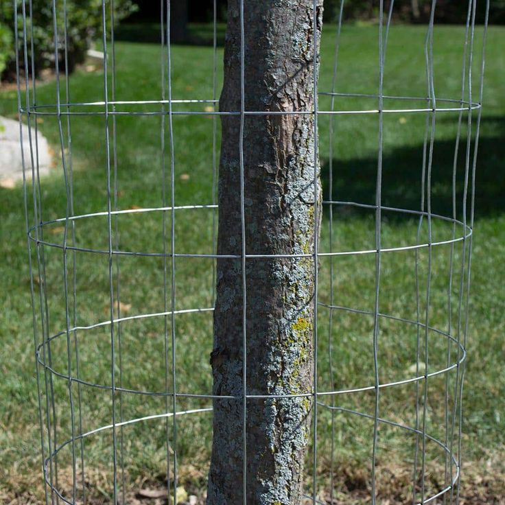 Everbilt 4 ft. x 100 ft. Steel Welded Wire