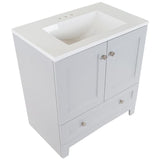Delridge 30 in. W x 19 in. D Bath Vanity in Pearl Gray with Cultured Marble Vanity Top in White with White Sink