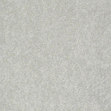 STAINMASTER PetProtect Baxter I Mac Textured Carpet (Indoor)