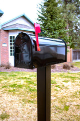 Gibraltar Mailboxe Elite Medium, Steel, Post Mount Mailbox, Black, E1100B00