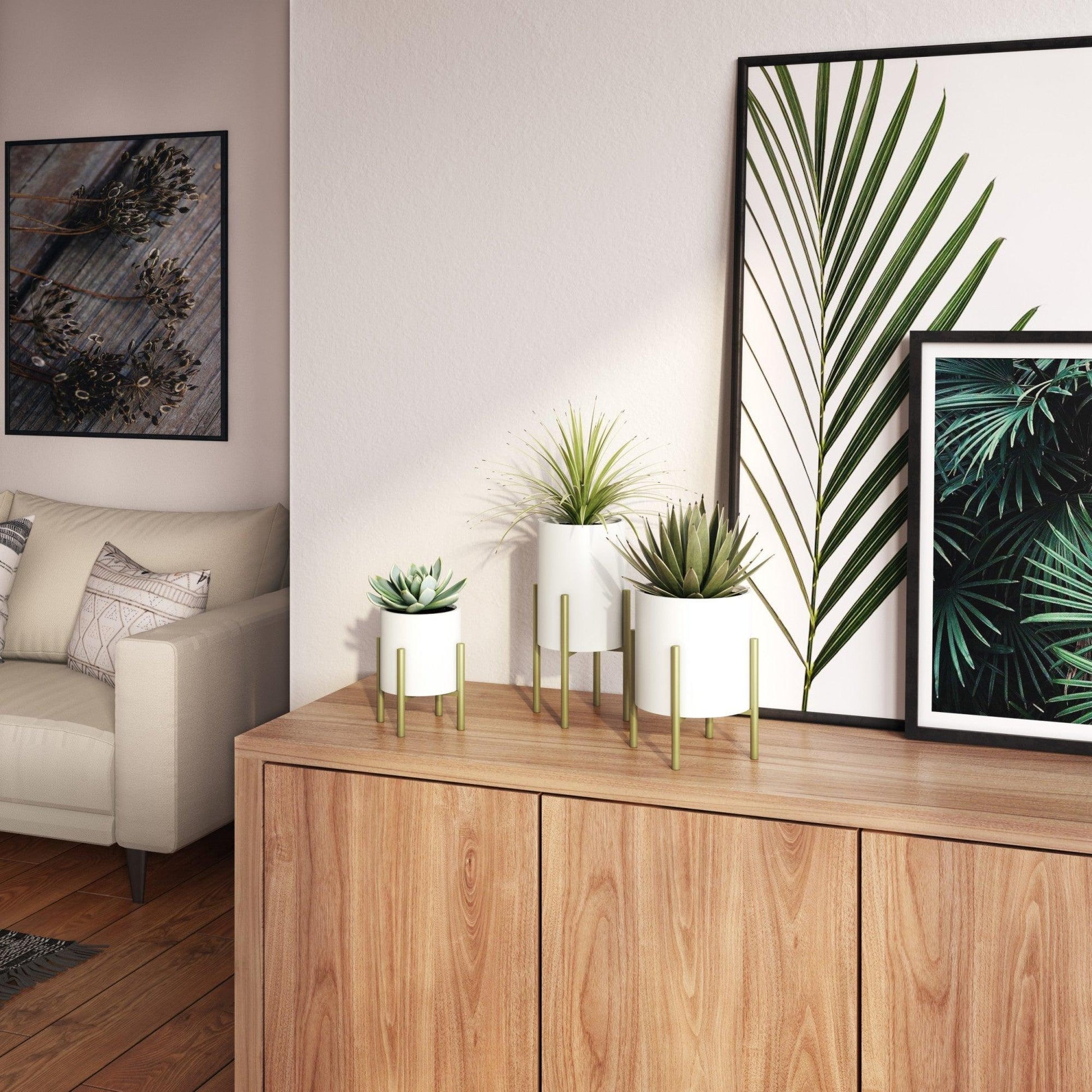 a6281035-fcdf-4230-910c-8d68411976d6.0addef922dea73ebee3e527391f25c62_-1163408950.jpeg