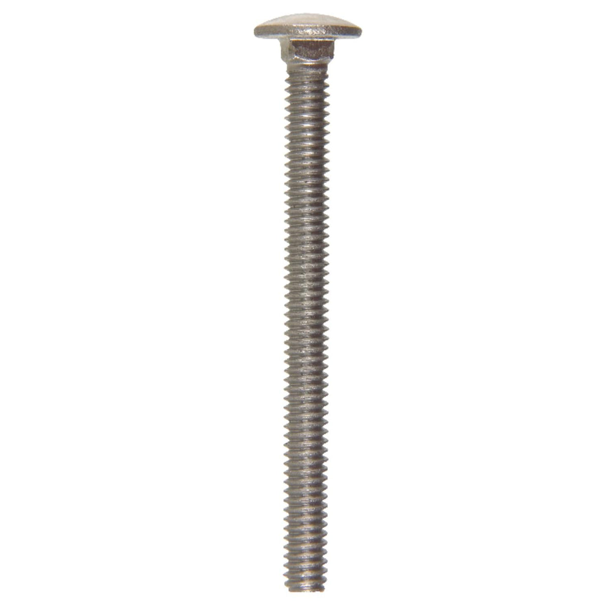 Hillman 1/4 in. x 3 in. Stainless Steel Carriage Bolt (25-Pack)