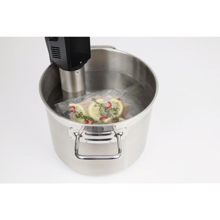 Sous Vide Stick