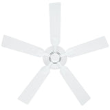 Barrow Island 52 in. Indoor/Outdoor White Ceiling Fan