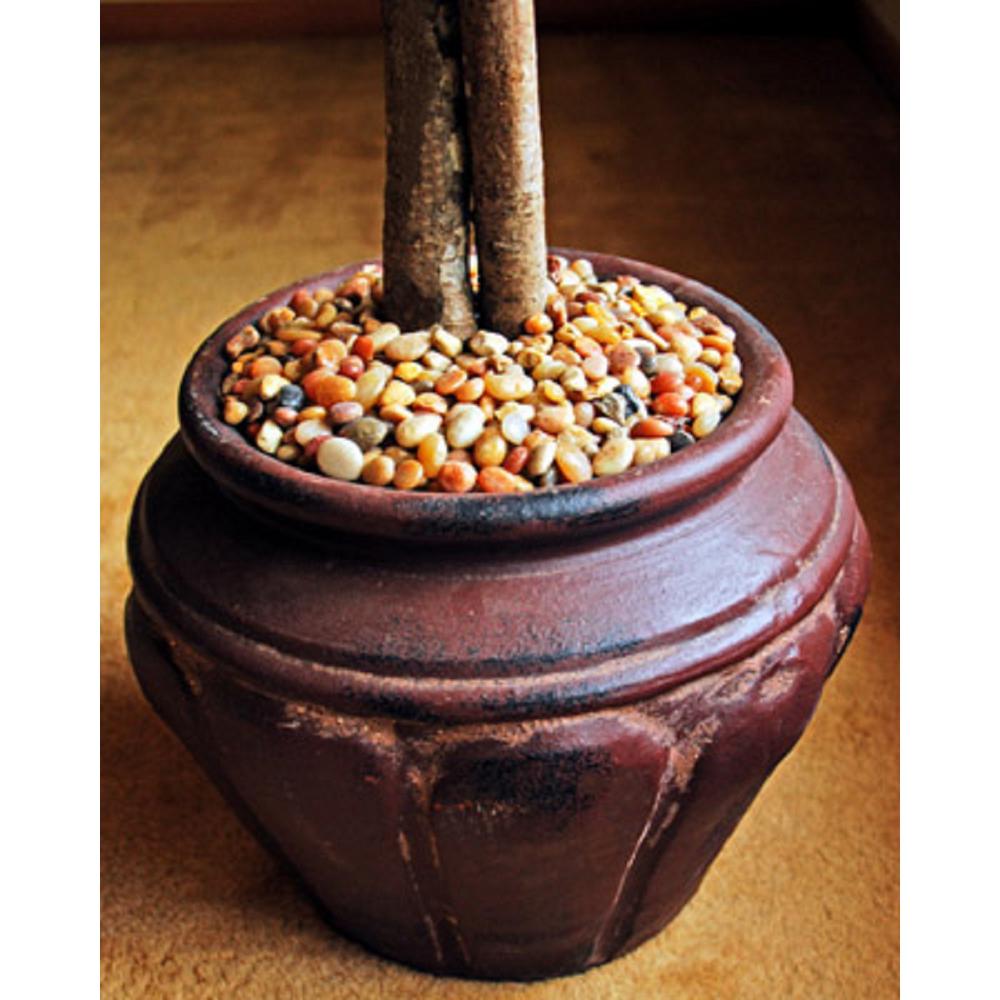 5 lbs. River Rock Soil Cover - Super Arbor