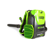 Greenworks PRO 140 MPH 540 CFM 60-Volt Lithium-Ion Cordless Backpack Leaf Blower (Tool-Only)