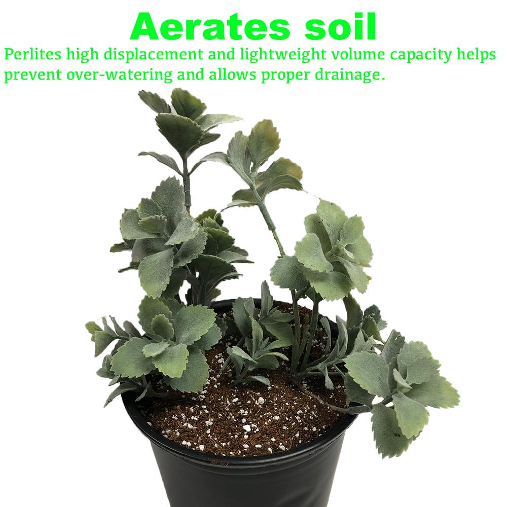 Viagrow 4 cu. ft. Perlite