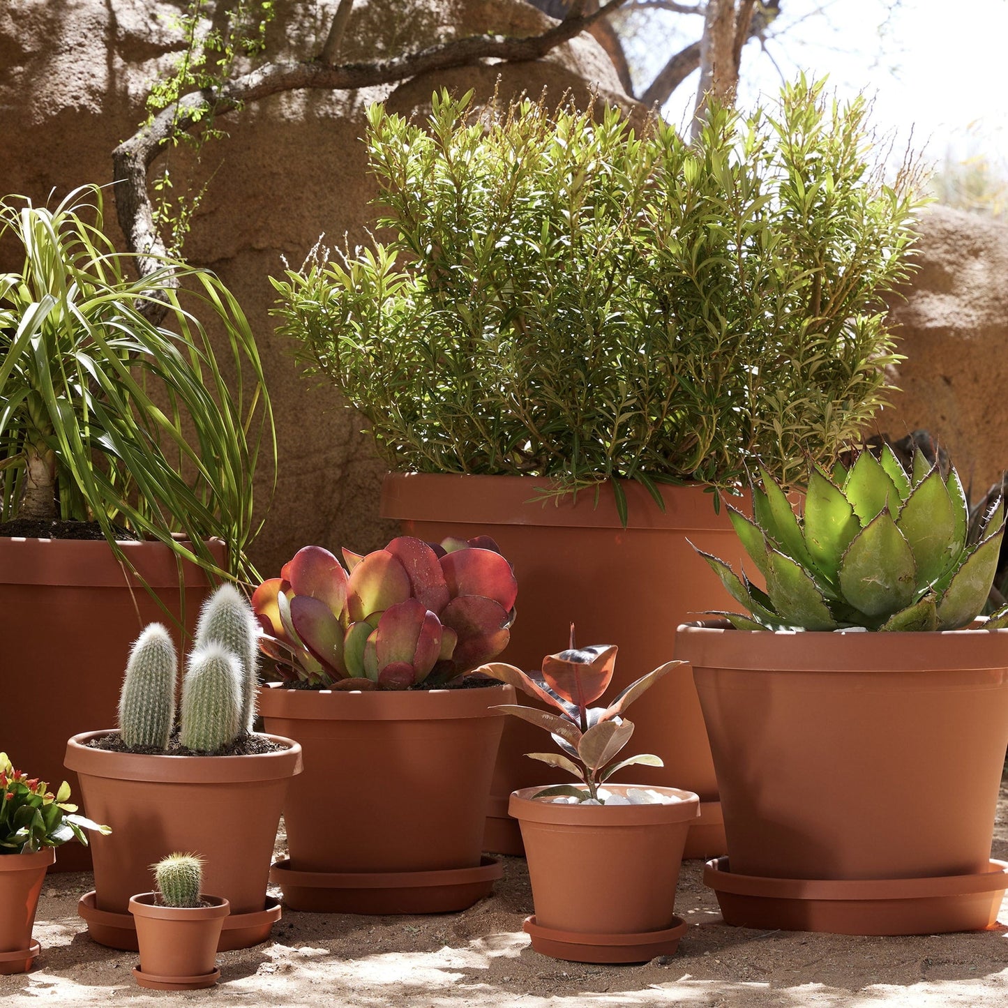 Bloem Terra Pot Planter 14" Terra Cotta