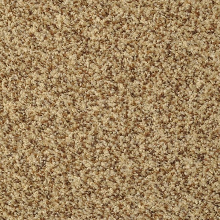 STAINMASTER Signature Documentary Tuscany Textured Carpet Sample (Interior)
